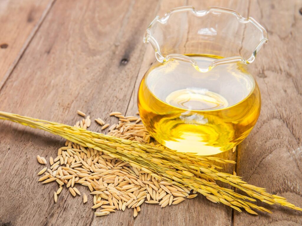 Rice Bran Oil Manufacturing Plant Project Report