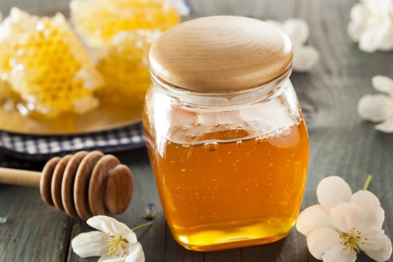Honey Manufacturing Plant Project Report