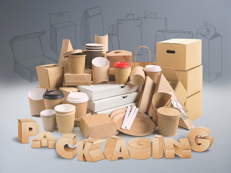 Paper Packaging Market3