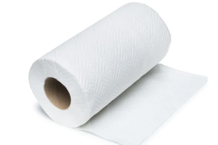 Paper Towel Manufacturing Plant Project Report