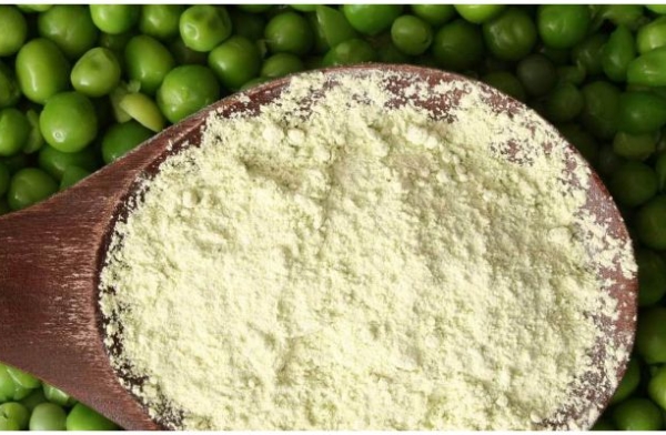 Pea Starch 1