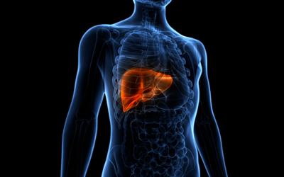 Type 2 Diabetes Market