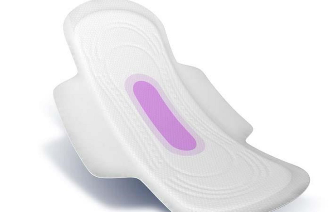 生理用ナプキン製造工場プロジェクトレポート