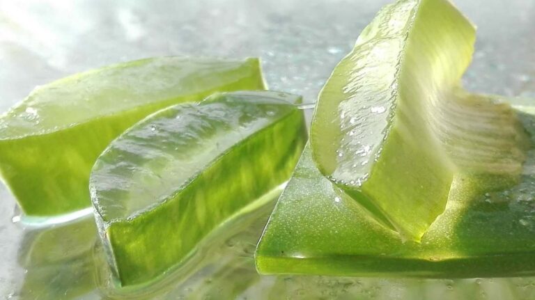 Aloe Vera Gel Manufacturing Plant Project Report