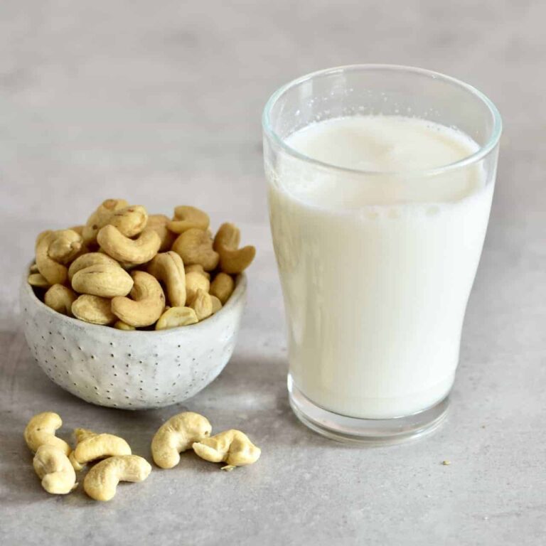 Cashew Milk Manufacturing Plant Project Report