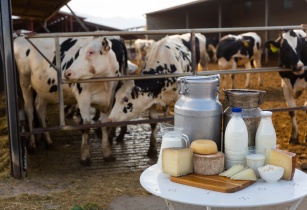 Dairy Market