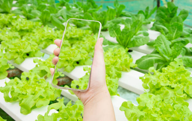 Food Traceability Market 4