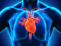 Heart Failure Market