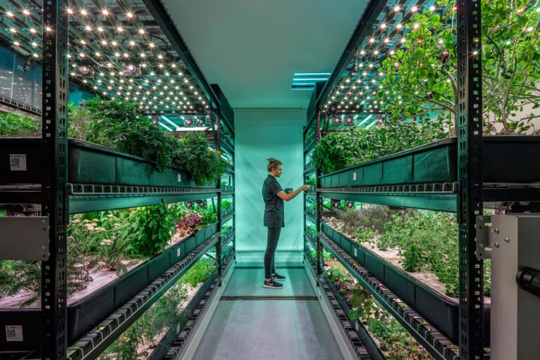 Indoor Farming