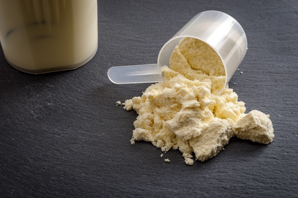 Japan Casein Market1