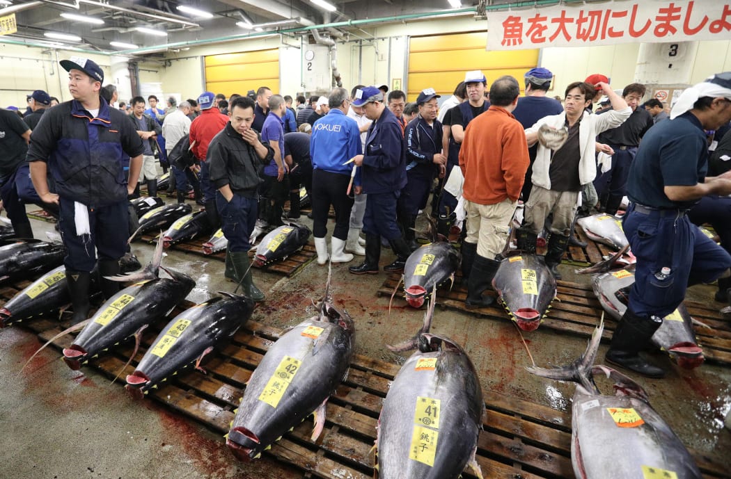 Japan Fin Fish Market