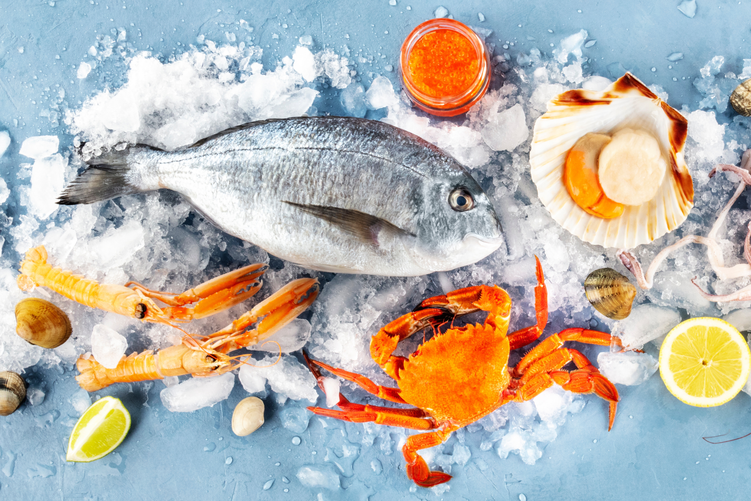 Japan Frozen Seafood Market