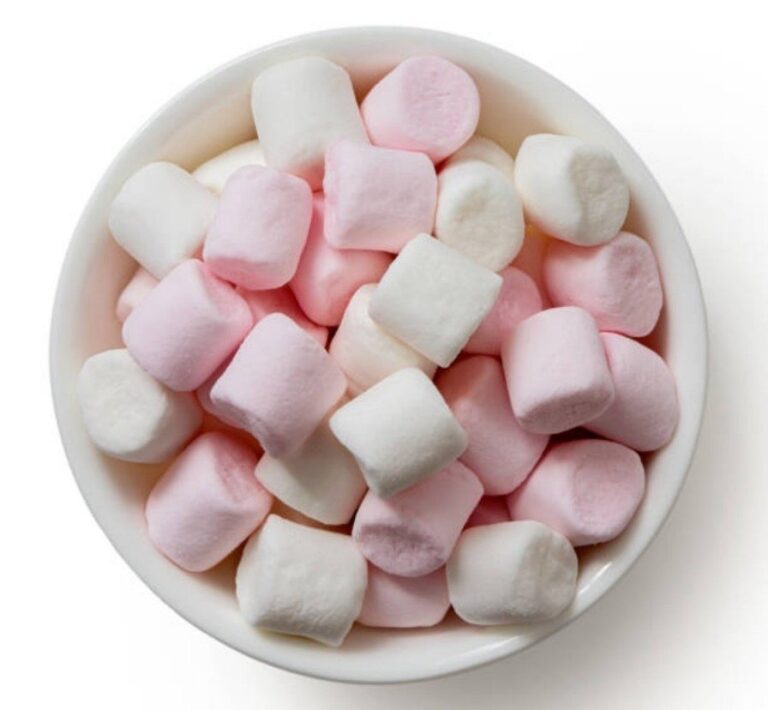 Marshmallow Manufacturing Plant Project Report
