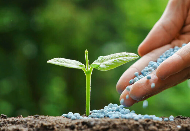fertilizer 1
