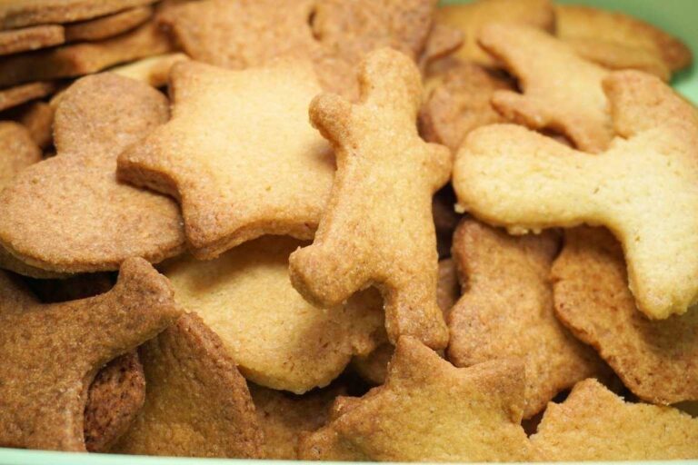 Biscuit Project Report