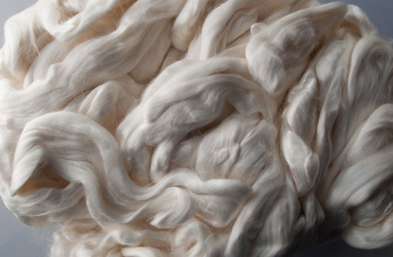Cellulose Fibers Market