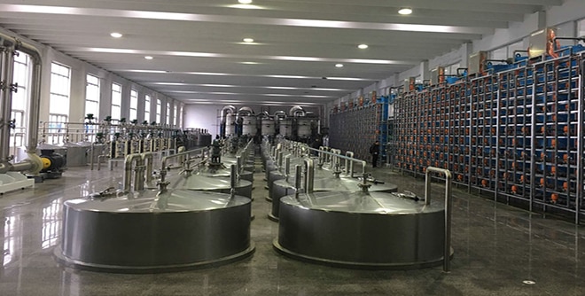 Citric Acid Manufacturing Plant 2