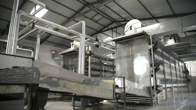 Onion Powder Manufacturing Plant Project