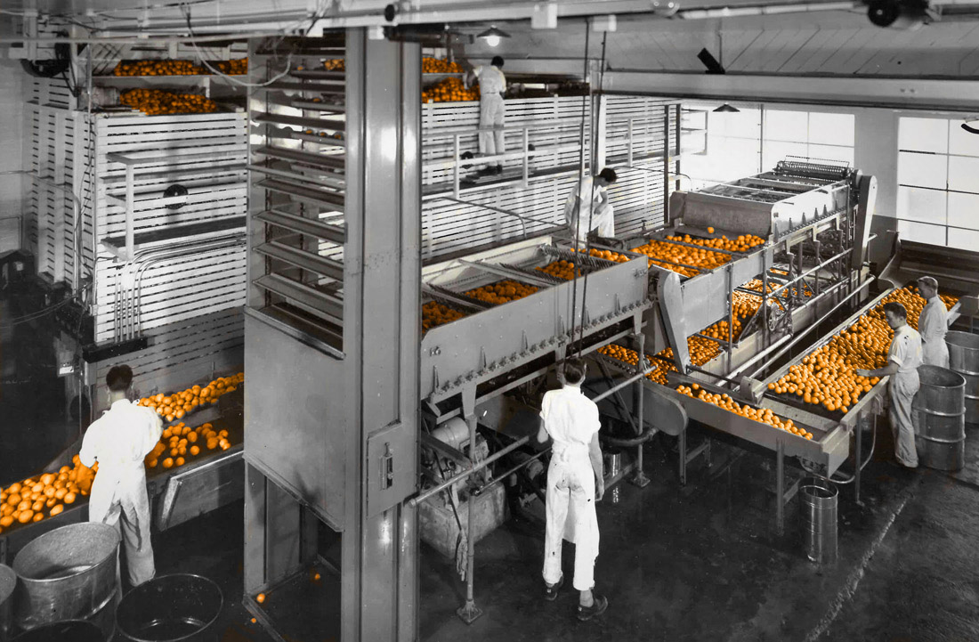 Pectin Manufacturing Plant