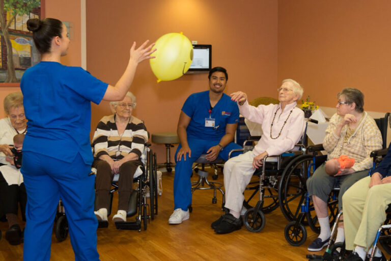 スキルド・ナーシング・ファシリティ市場