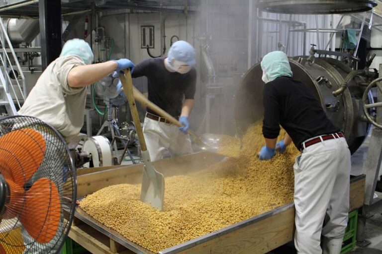 Soy Sauce Manufacturing Plant 2