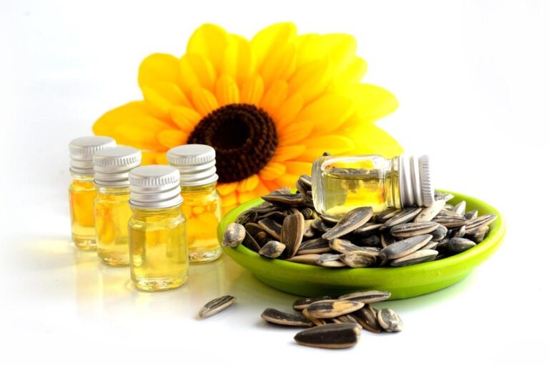 Sunflower Oil Manufacturing Plant Project Report