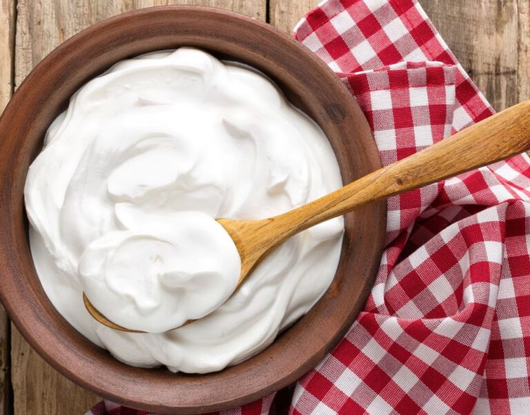 Yogurt Manufacturing Project Report