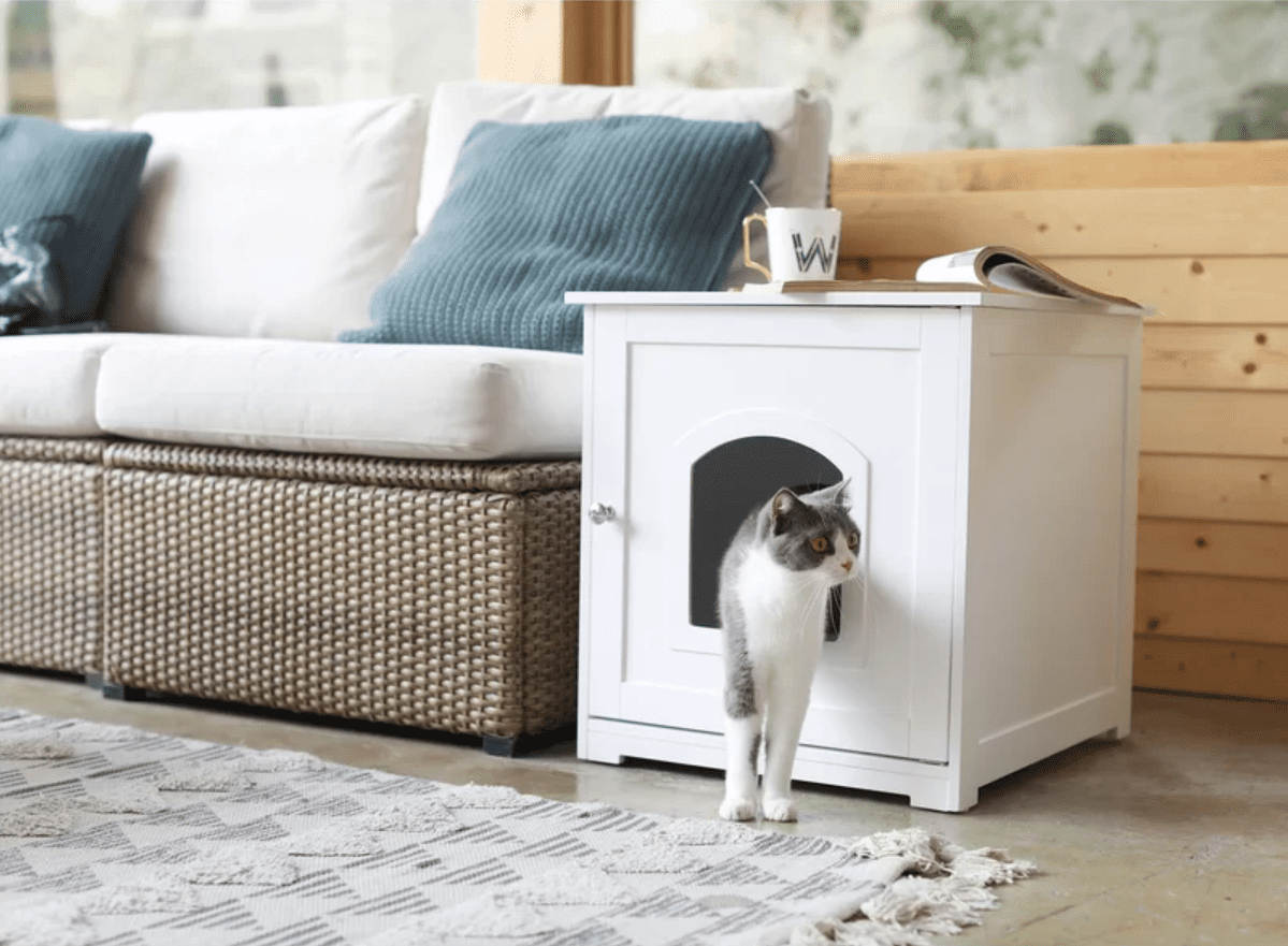 Pet Furniture Market