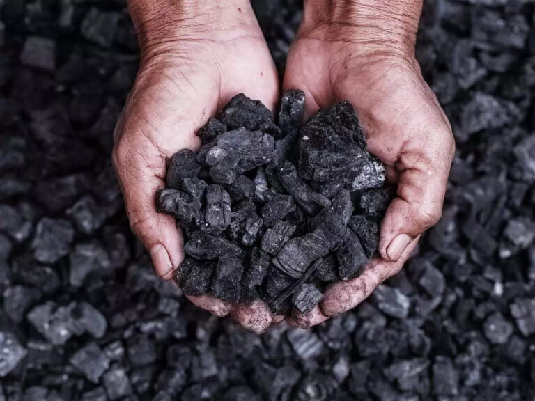 Petroleum Coke Market