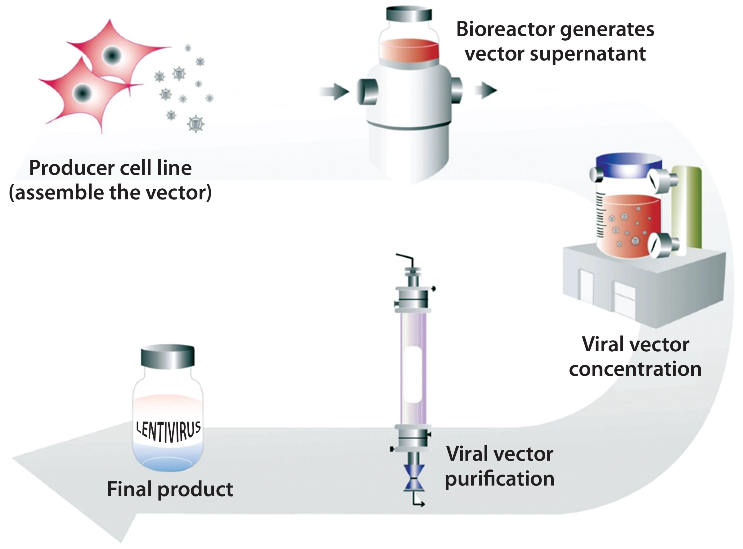 Viral Vector Manufacturing Market