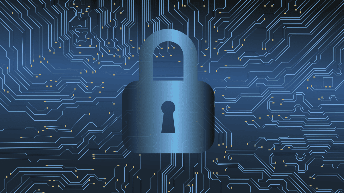 Japan Encryption Software Market