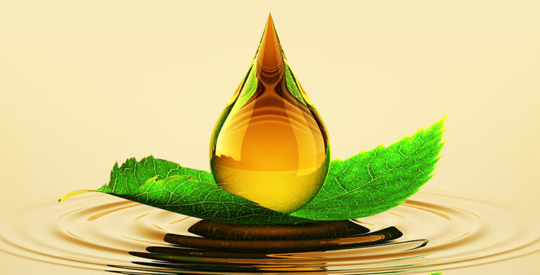 Leaf With Oil Drop On The Water
