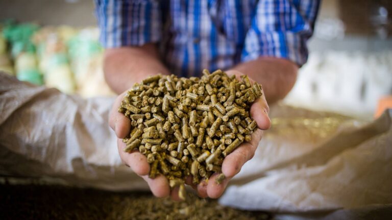 Japan Compound Feed Market