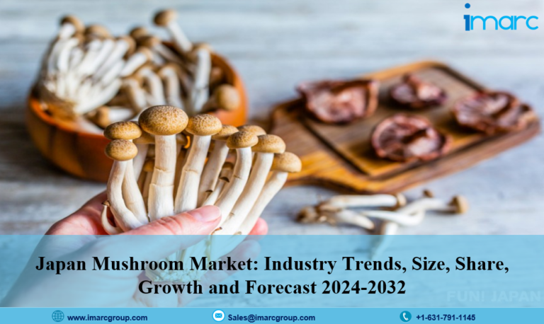 日本 キノコ 市場