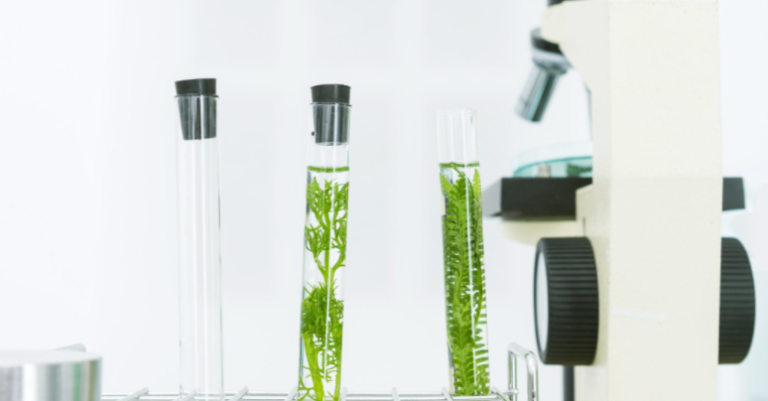 農業試験市場規模、シェア、需要、成長および予測 2024-2032 年