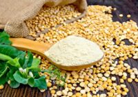 エンドウ豆タンパク質粉末製造プラントプロジェクトレポート