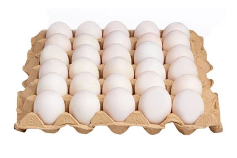 Egg Tray.........