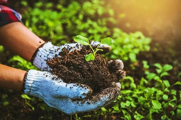 Organic Fertilizer Manufacturing Plant2