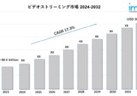 ビデオストリーミング市場