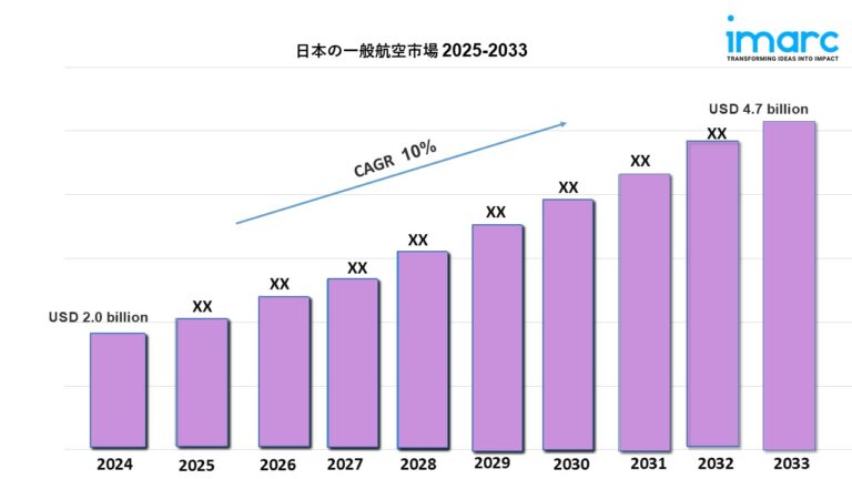 日本の一般航空市場