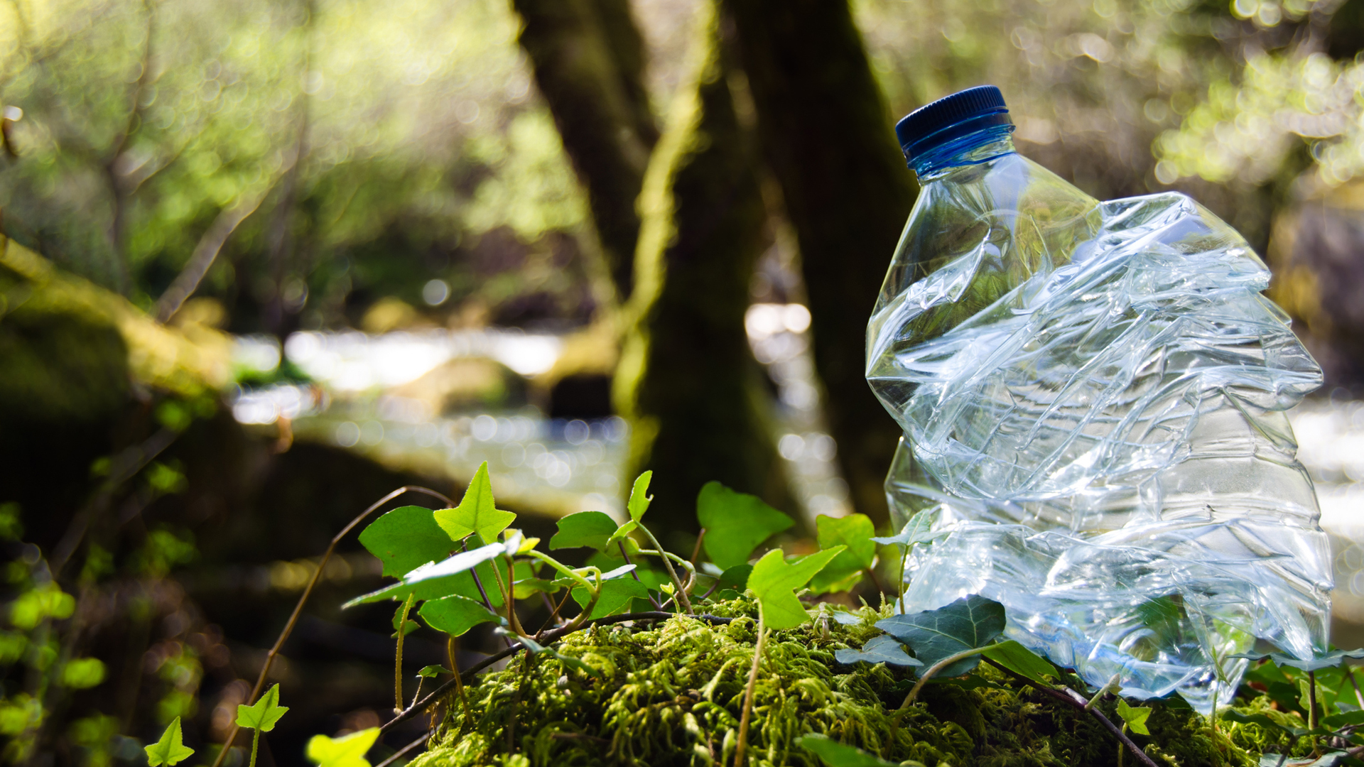 Japan Bioplastics