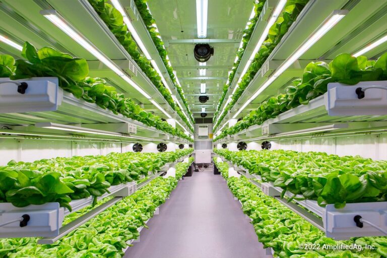 日本の垂直農法市場