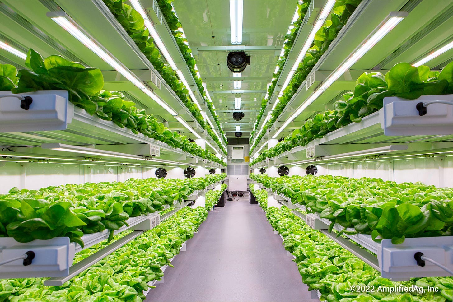 日本の垂直農法市場