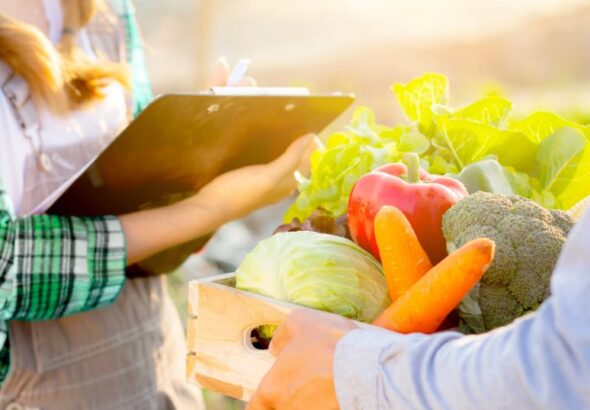 Japan Food Logistics Market