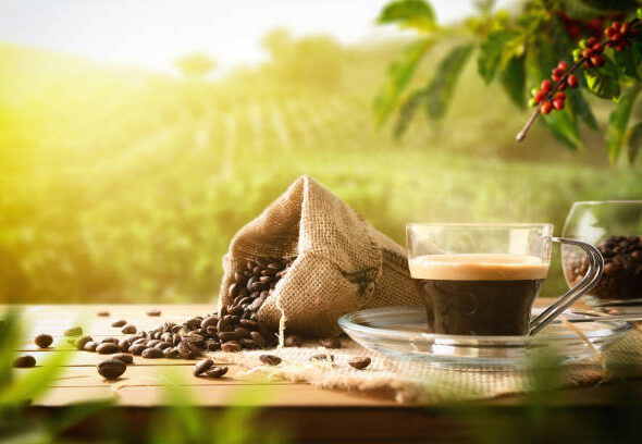 Japan Green Coffee Market