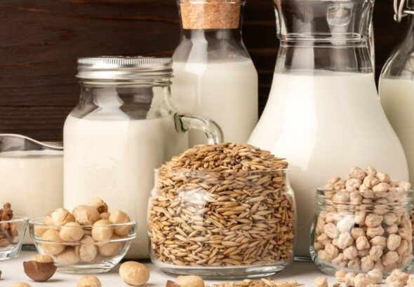 Japan Milk Alternatives Market