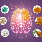 日本の認知機能補助食品市場