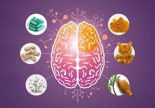 日本の認知機能補助食品市場